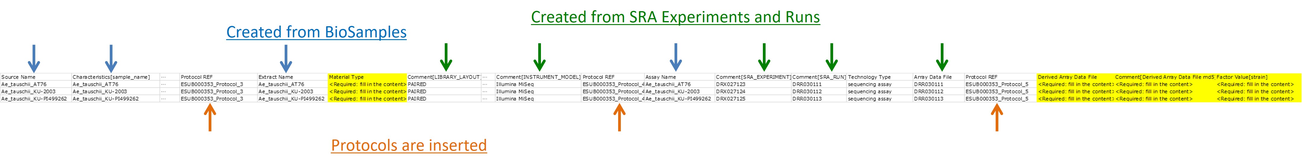 SDRF テンプレートの図解、登録者が情報を追加する必要がある部分は黄色で示されている