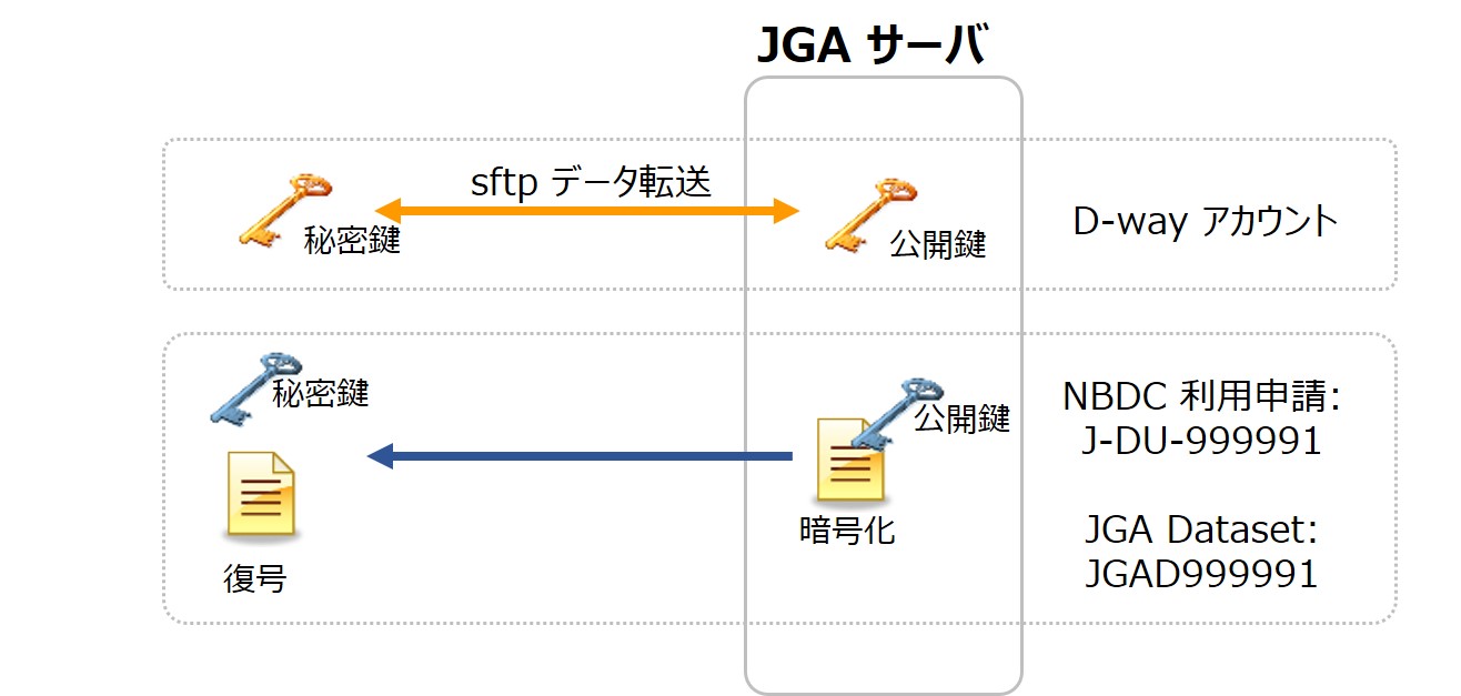 データ転送用と JGA データセット復号用鍵ペア