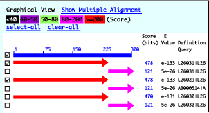 clustalw Graphical View image