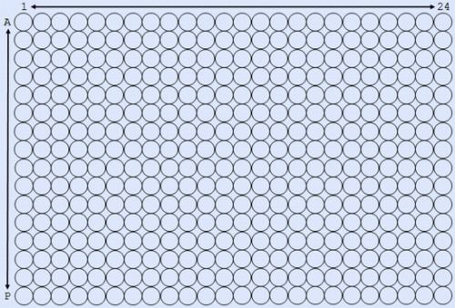 Standard 384 well microtiter
configuration