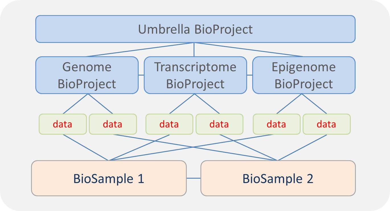 Overview of BioSample and BioProject integration with other DDBJ databases