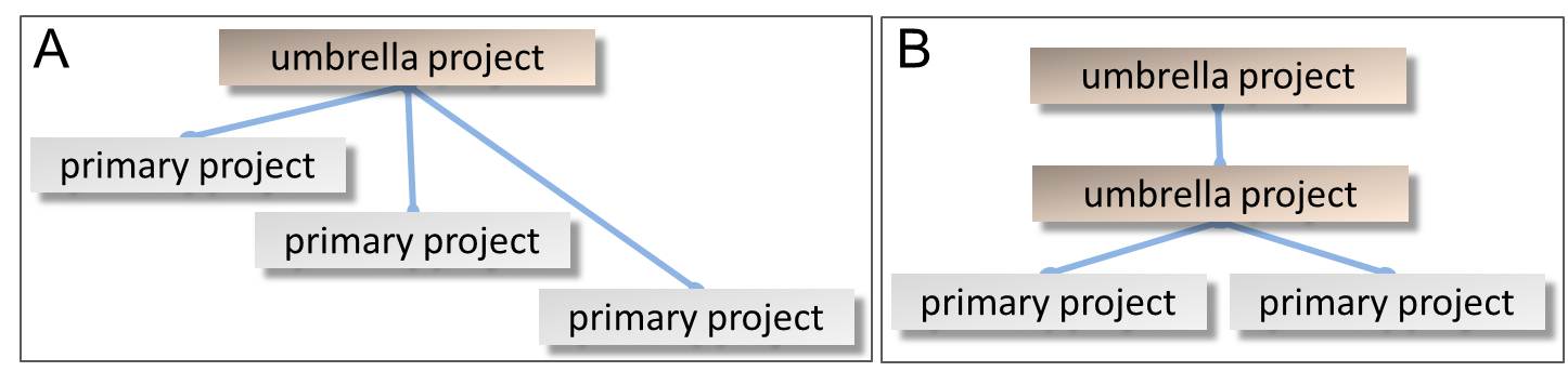 Schematic diagram of BioProject hierarchies. (A)Two layers. (B)Three layers.